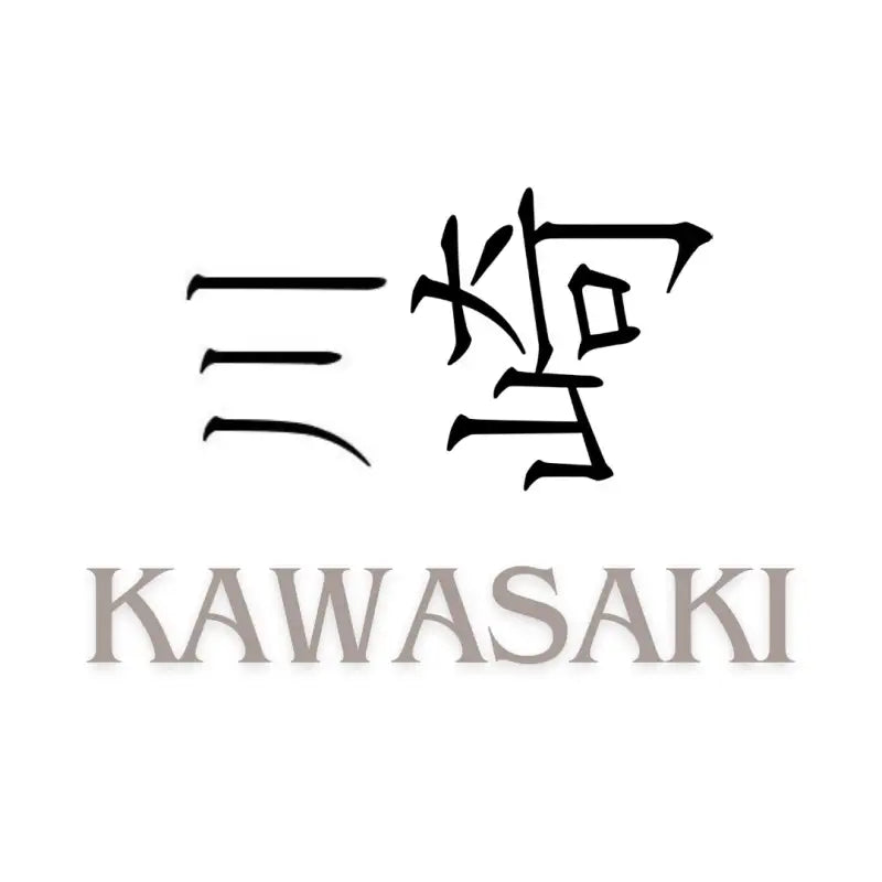 Kawashki Ergonomic (CQ6) Hairdressing Scissors
