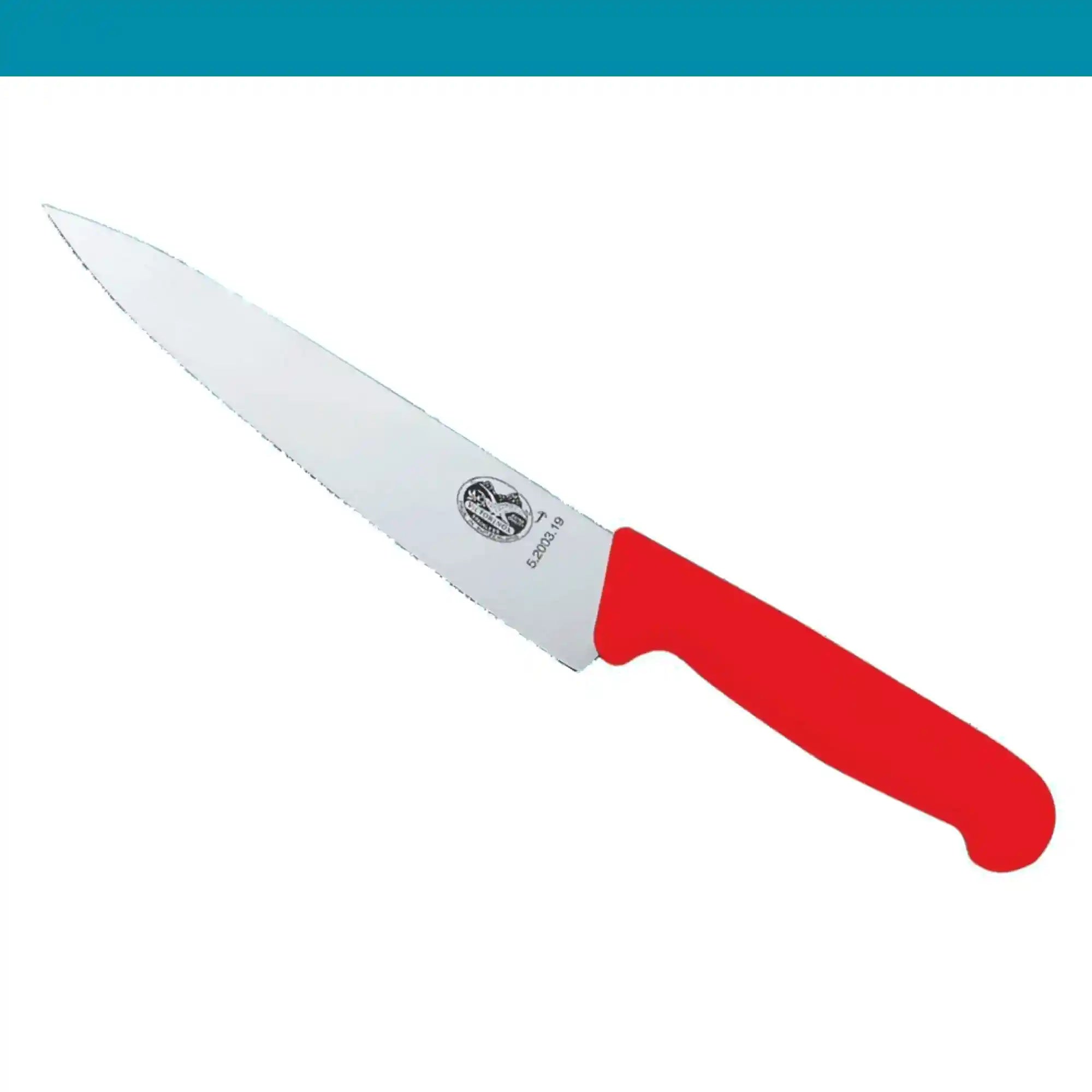 Victorinox Fibrox Carving Knife 25 cm