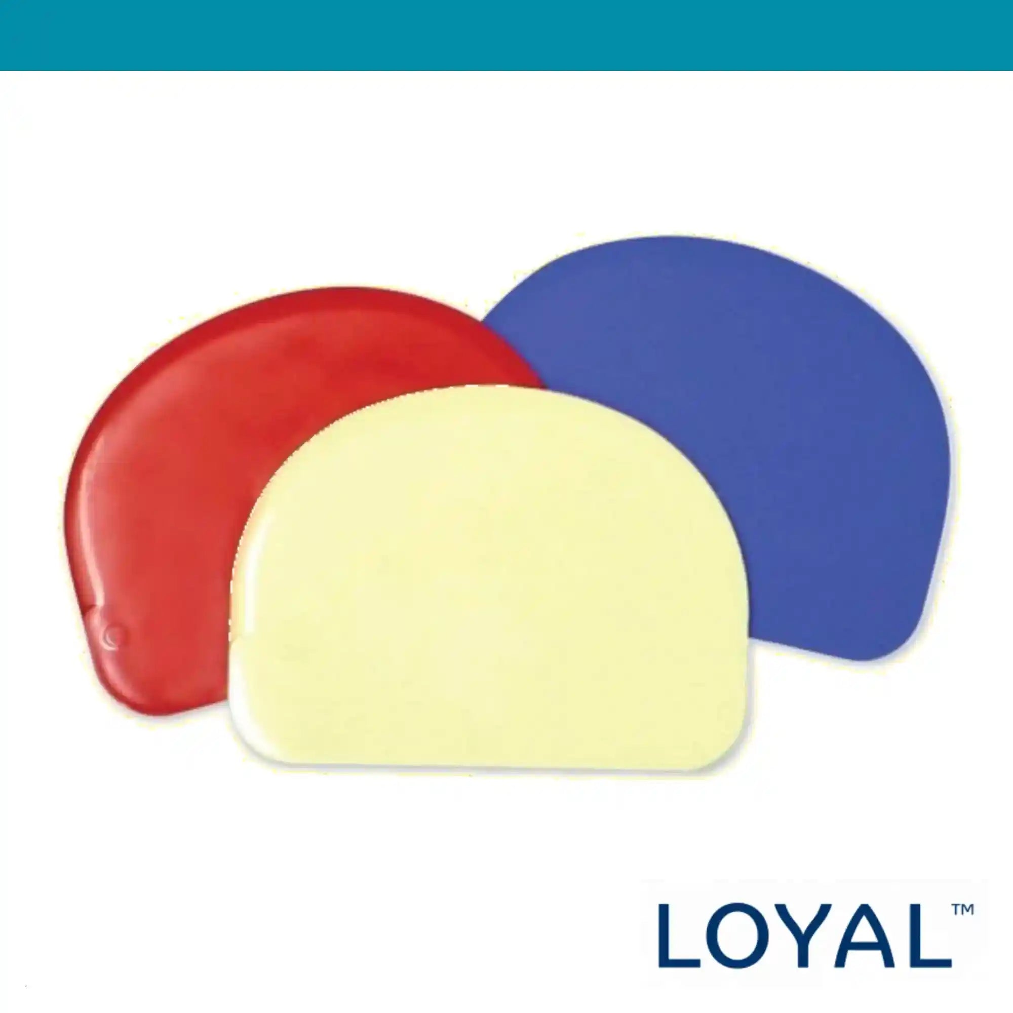 Loyal Bowl Scraper small