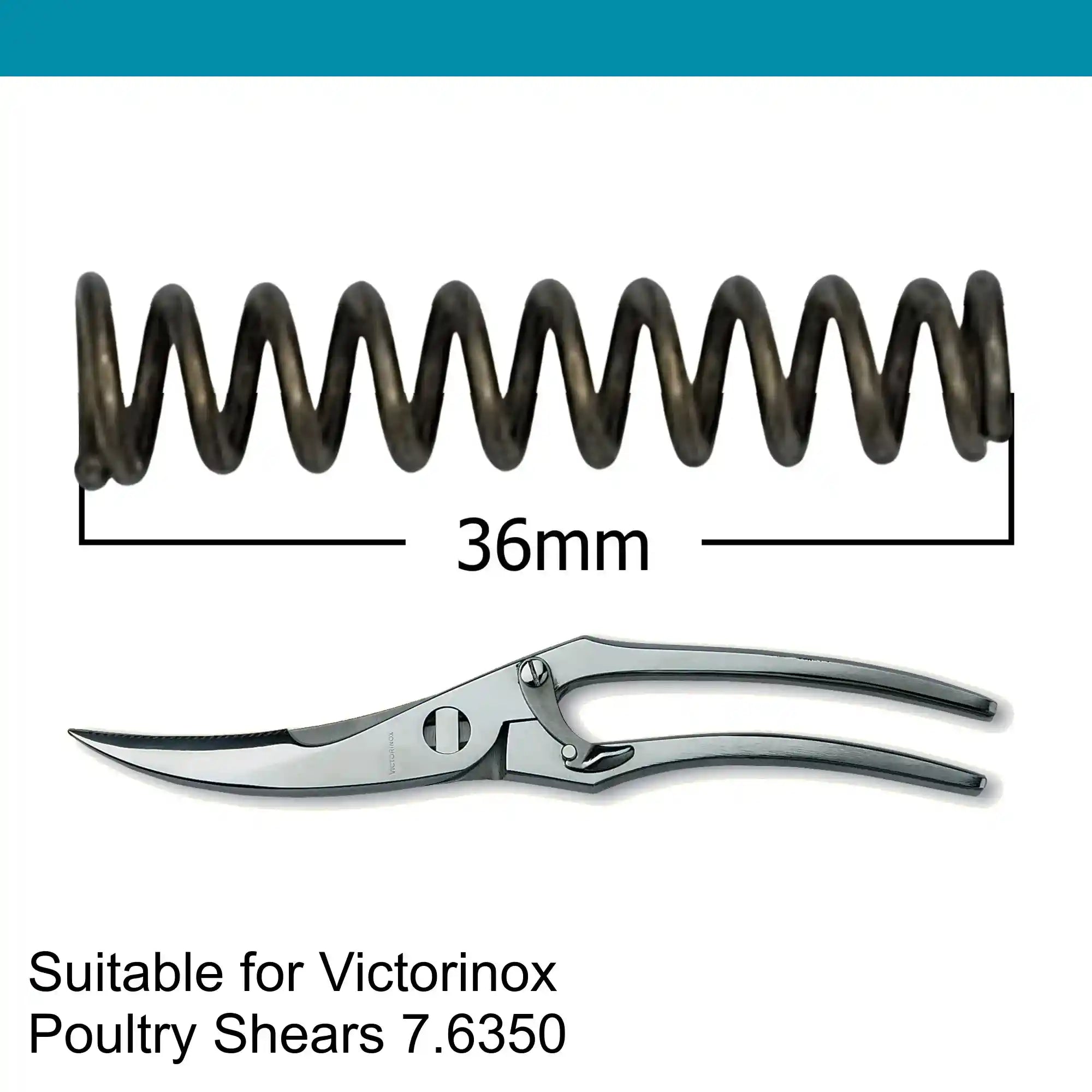 Victorinox Poultry Shear, Replacement Spring