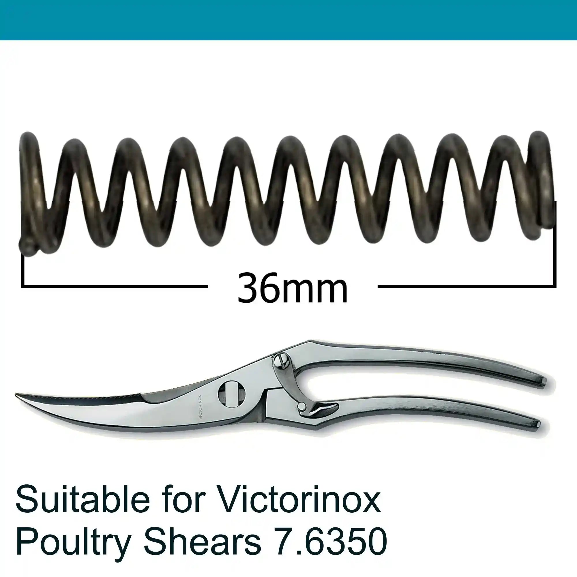 Victorinox Poultry Shear, Replacement Spring
